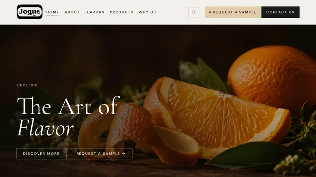 Jogue website by Blue Winds Media
